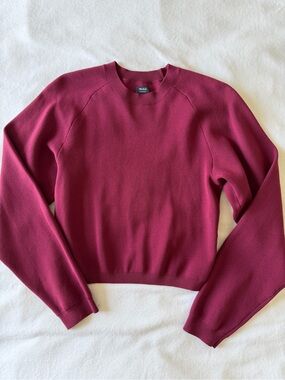 Talula Aritzia Plum Crewneck Pullover